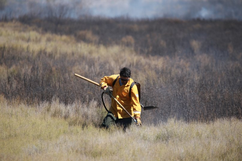 Combaten incendios en más de 15 mil hectáreas en el Sur de Mendoza
