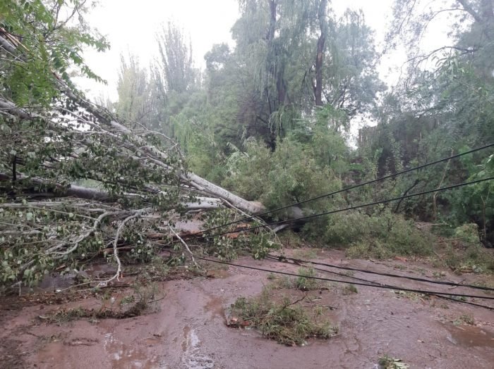 Suarez recorrió zonas afectadas por la tormenta en Maipú y San Martín