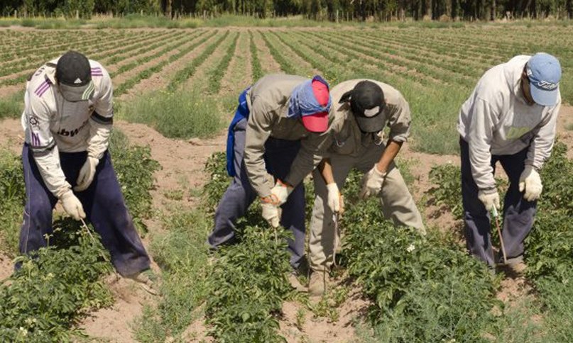 Recuperagro II: el Gobierno lanzó nuevas líneas de ayuda por $2.000 millones para productores afectados 